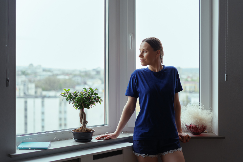 Bismarck Bay & Bow Windows